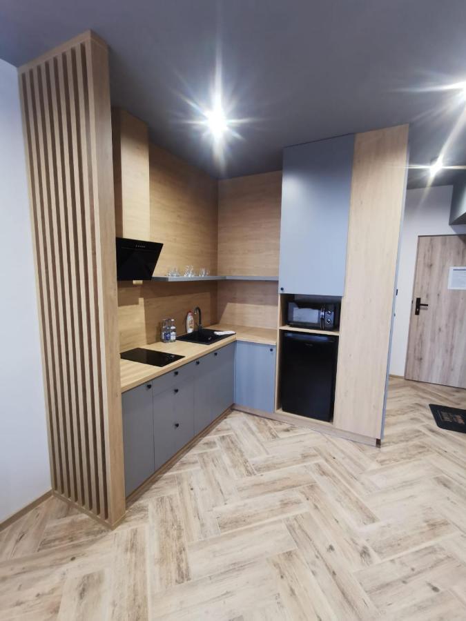 Loft House Apartments プシェムィシル エクステリア 写真